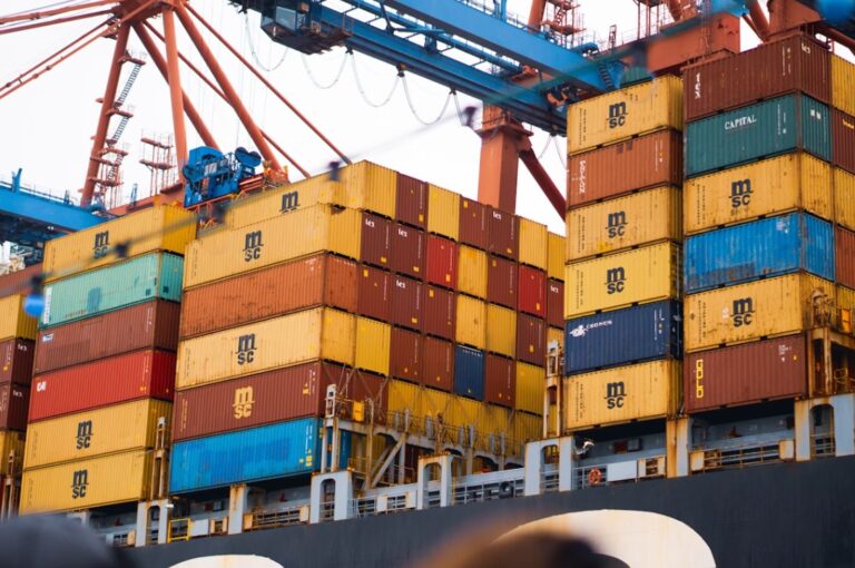 Containerhafen mit Krananlagen als Symbol für globale Lieferketten in Zeiten der Deglobalisierung